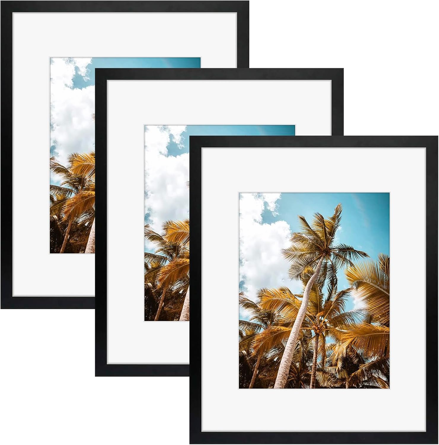 Frametory 16x20 Picture Frame Set for Wall Display and Gifts