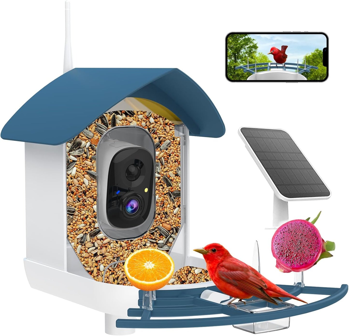Smart Bird Feeder - AI Identify Birds, FHD 2K Video, Solar Powered