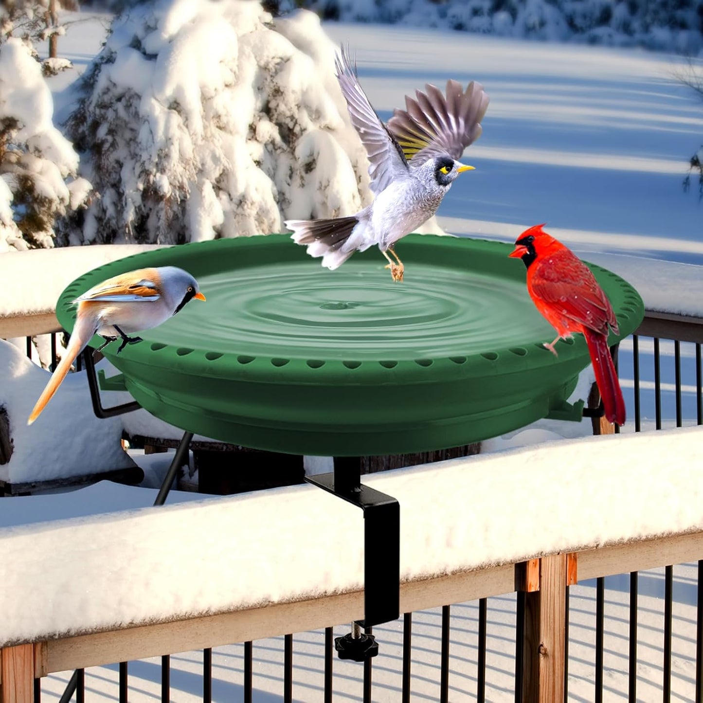 Daoeny Heated Bird Bath for Deck Railing - Winter Essential