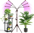 Grow Lights for Indoor Plants Full Spectrum with Stand and Timer - 6