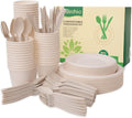 300 Piece Biodegradable Paper Plates Set with Extra Long Utensils