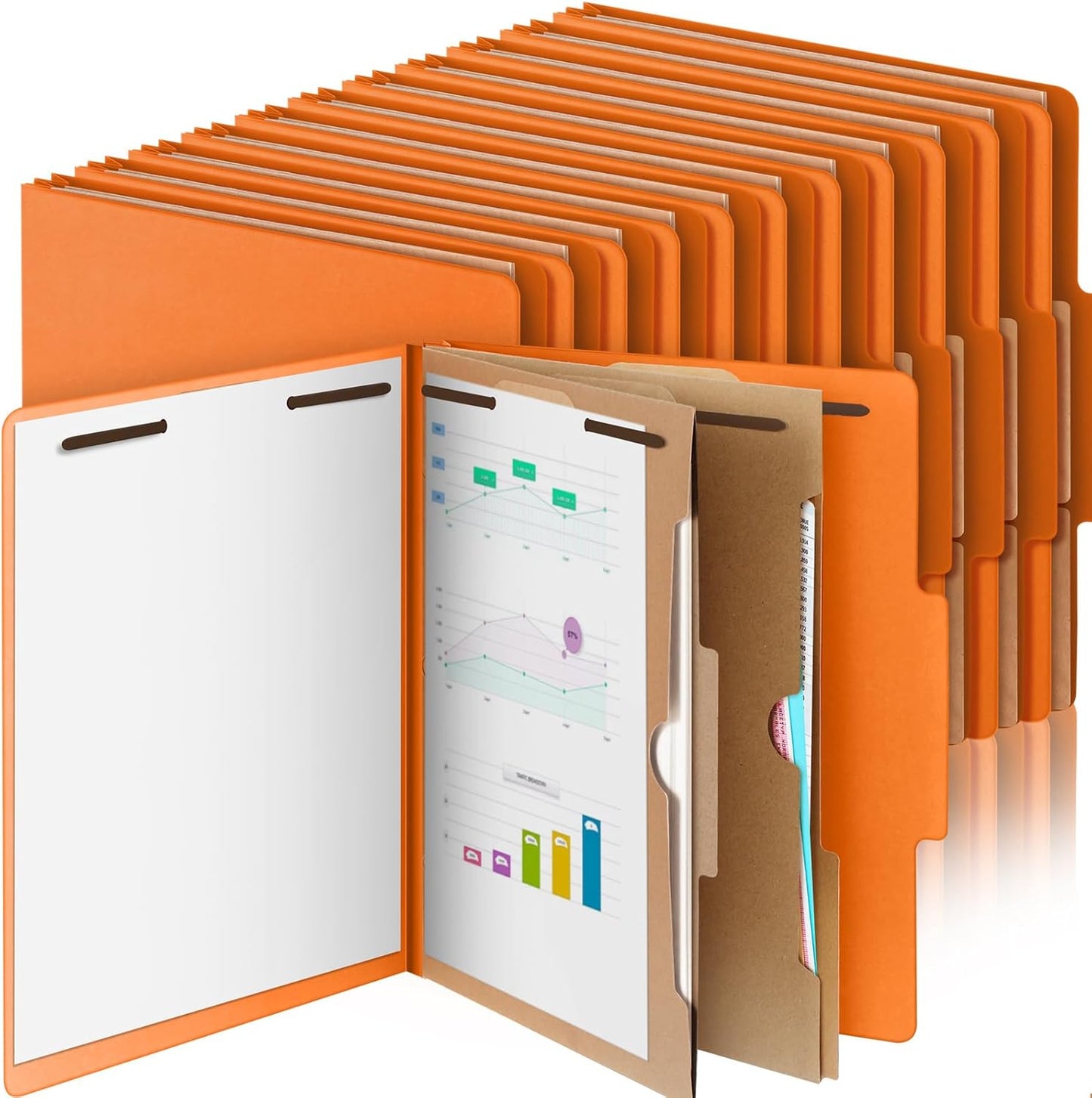 24 Pcs Classification Folders for Effective Document Organization