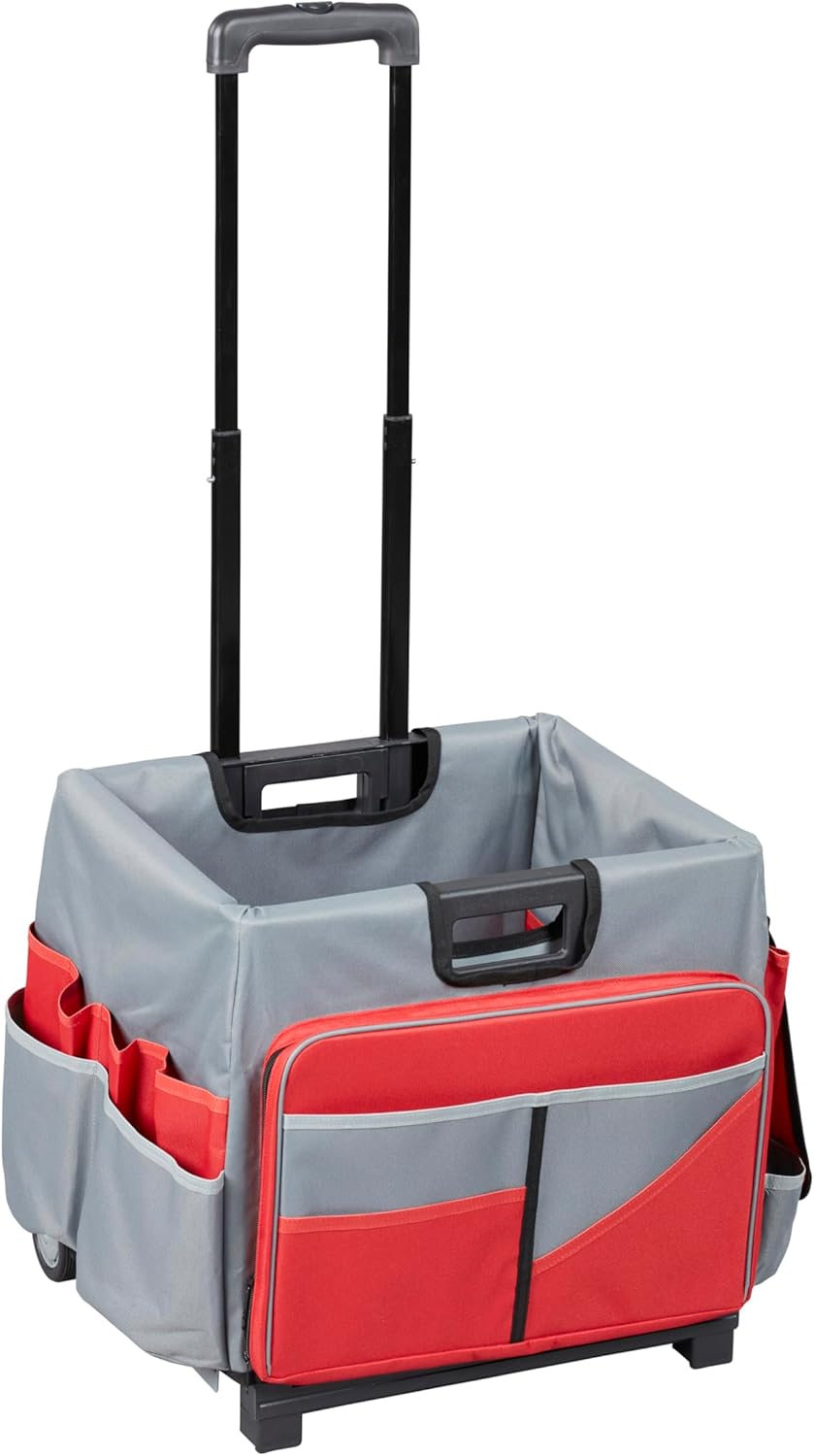ECR4Kids Universal Rolling Cart with Canvas Organizer Bag Review