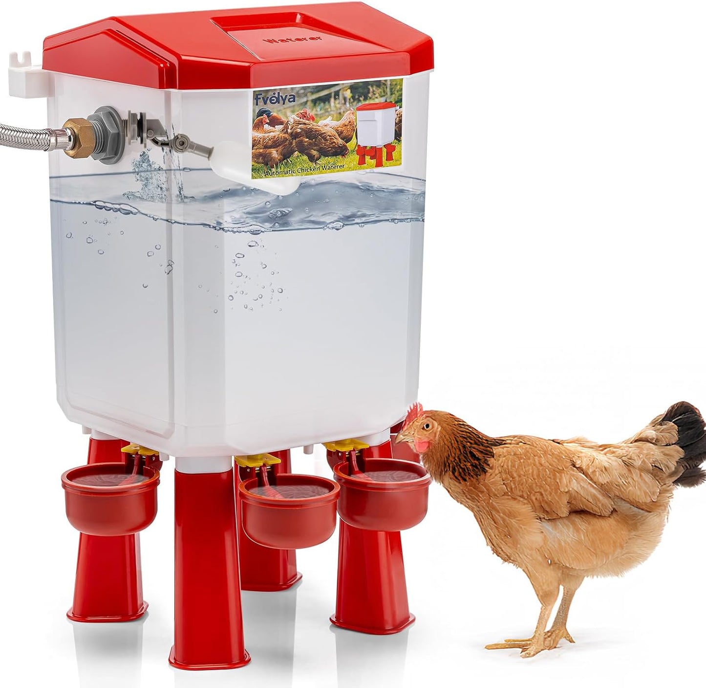 Filtered Automatic Poultry Waterer Kit - FVEDYA