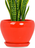 Deep Dream 8 Inch Plant Pot - Red Ceramic Planter for Indoor & Outdoor