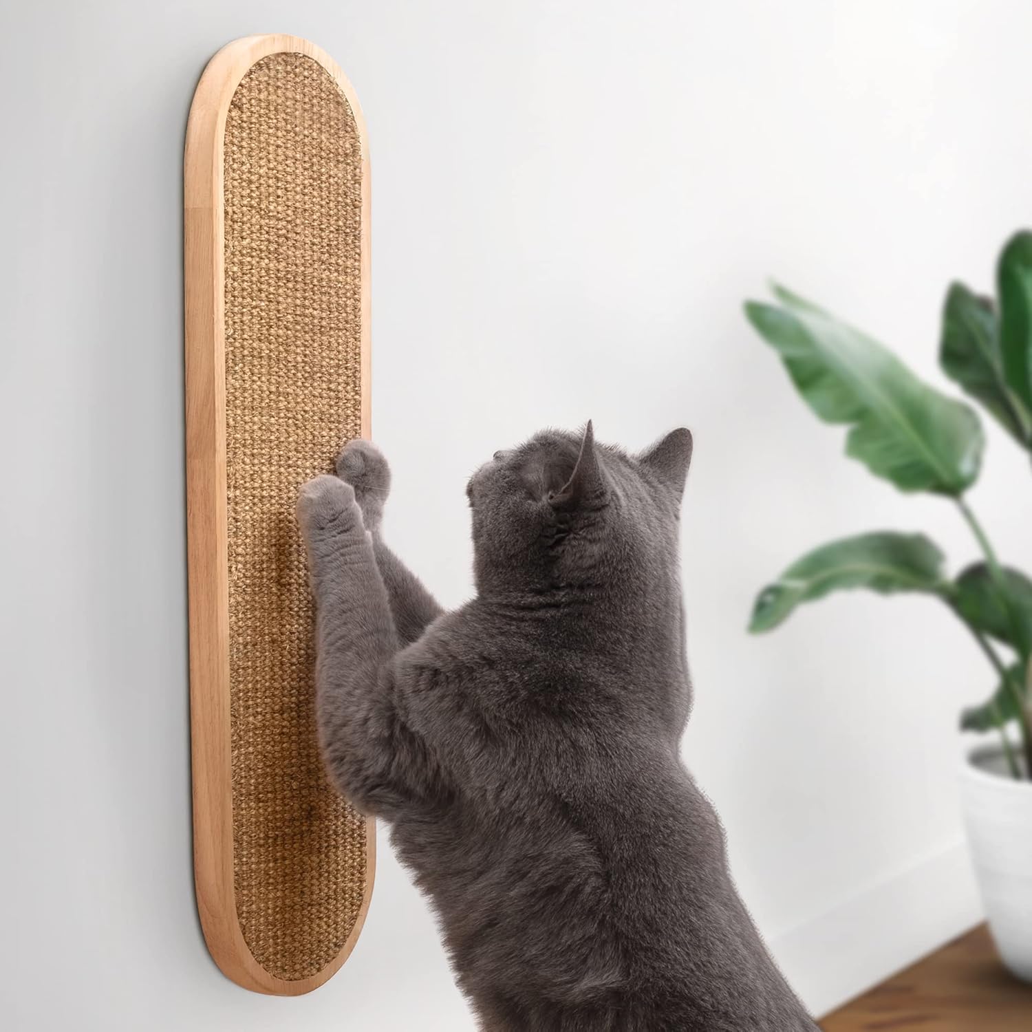 Wall Mounted Cat Scratcher for Indoor Cats - 7 Ruby Road