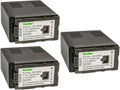 Kastar 3-Pack VW-VBG6 Battery Replacement - High Capacity Camera Power