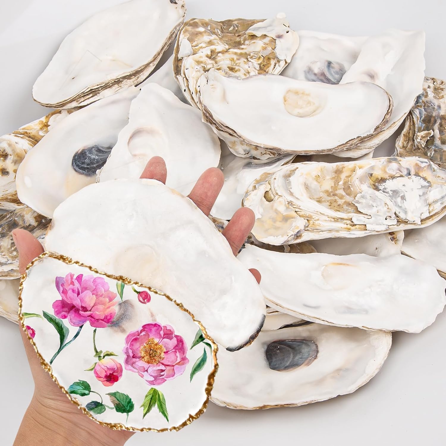20PCS Extra Large Flat Oyster Shells for DIY Arts and Crafts