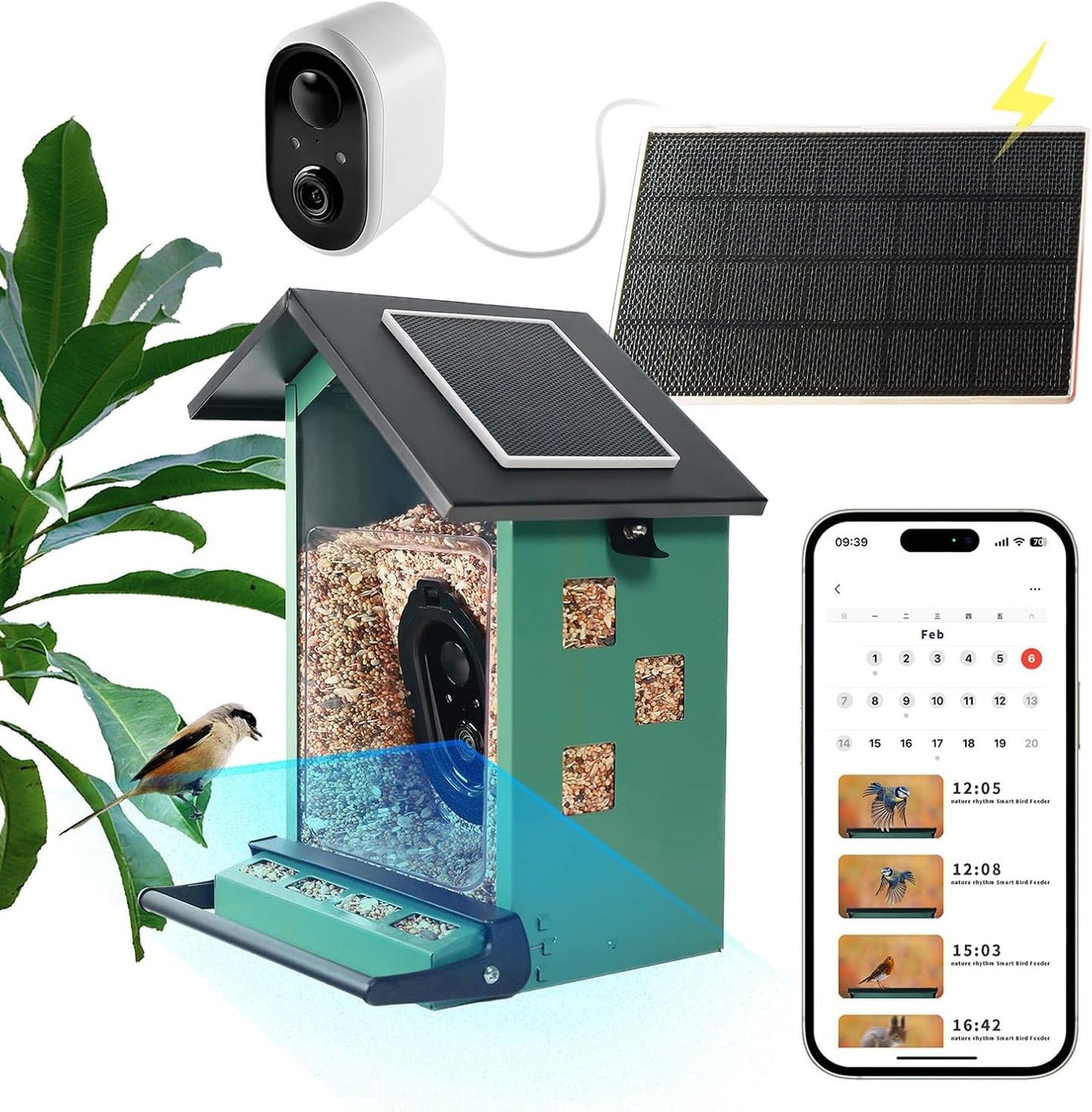 Smart Bird Feeder: See Birds Feed!