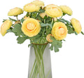 Artificial Ranunculus Flowers with Real Touch Stem - Creamy Yellow