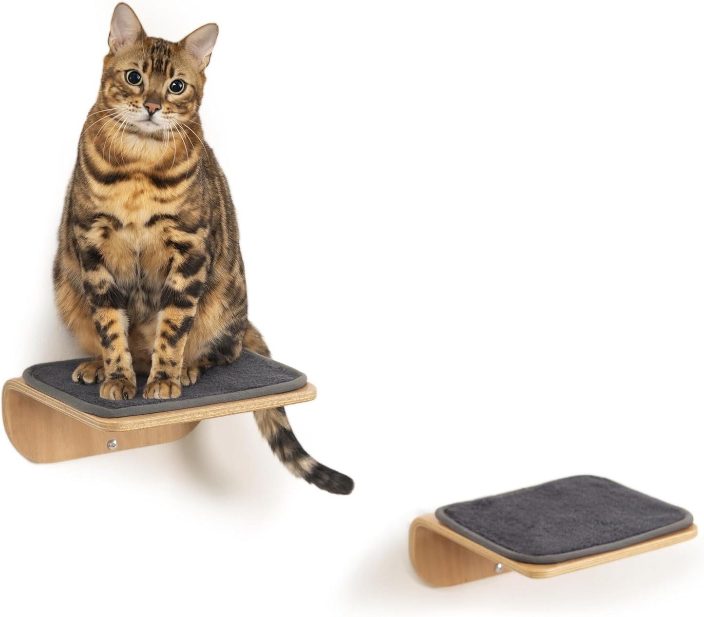 Cat Wall Shelves and Steps for Climbing and Sleeping Comfort