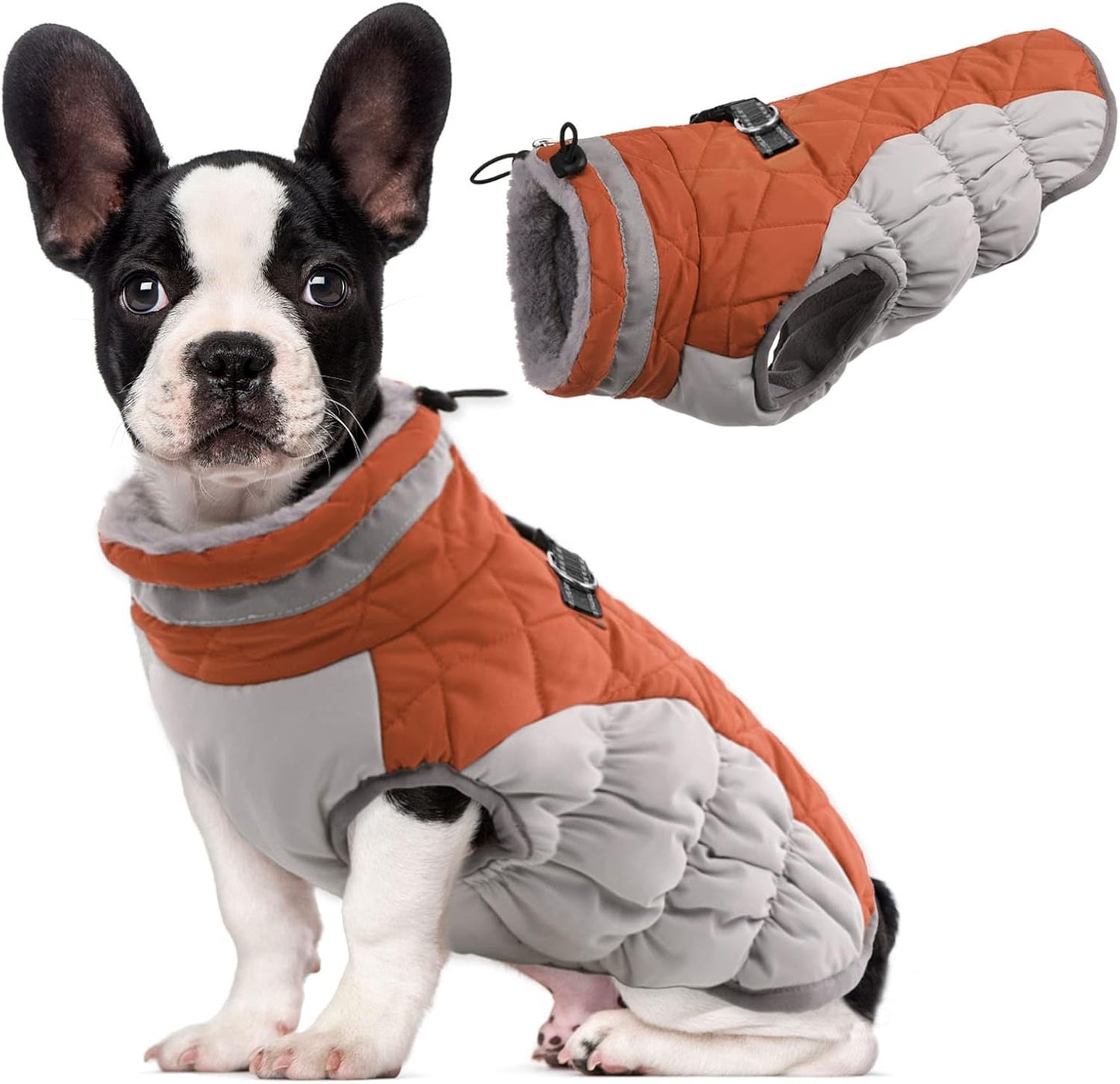 Lelepet Dog Coat Waterproof Winter Jacket for Medium Dogs
