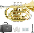 Pocket Bb Trumpet Brass Gold Lacquer - Student Pocket Trumpet