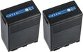 Kastar 2-Pack BP-A68 Replacement Battery Pack - Long Run Time