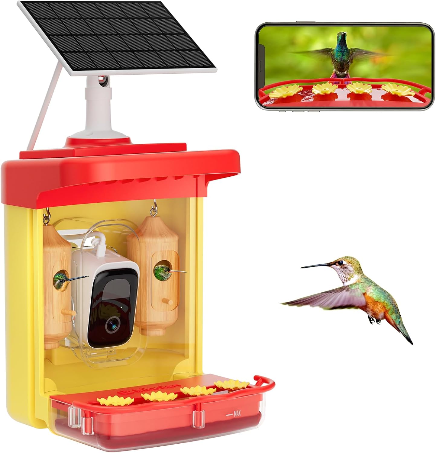 Smart Hummingbird Feeder with Camera for Bird Lovers' Joy