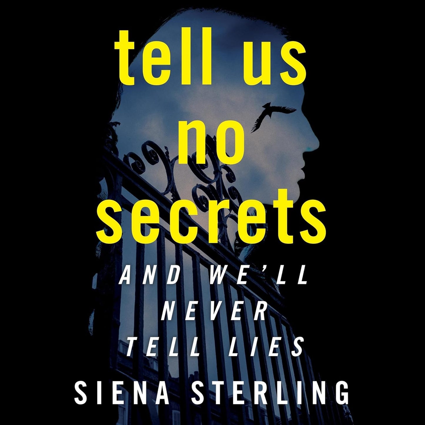 Tell Us No Secrets: A Novel by Siena Sterling - A Gripping Read