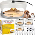Flea Traps for Inside Your Home 4-Pack - Complete Indoor Flea Killer