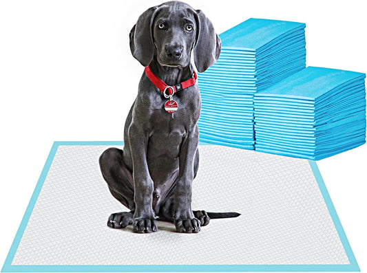 80-Count Large Puppy Pads by BESTLE: Ultimate Absorbency