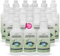 Steam & Go Demineralized Water Floor Cleaner, Eucalyptus Mint - Ready