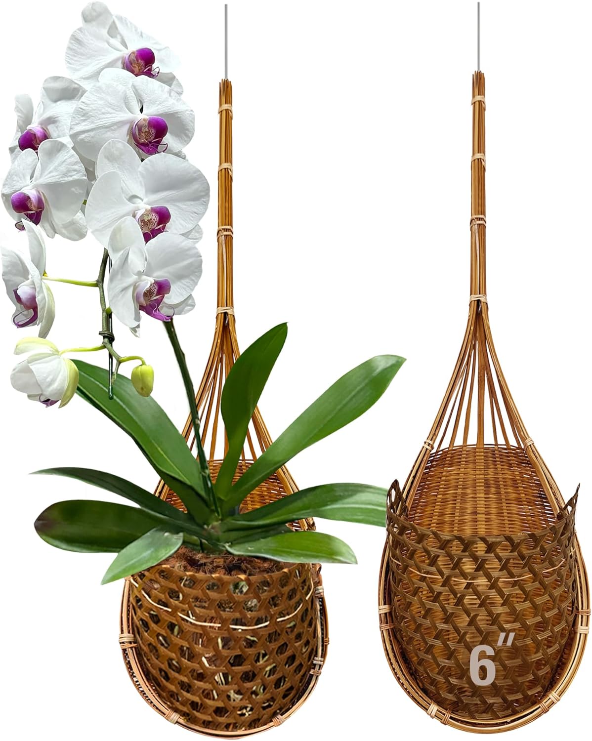 Handmade 100% Thai Bamboo Super Sanctuary Hanging Orchid Basket