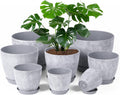 Set of 8 Plastic Planter Pots 10 to 4in - Indoor Planter