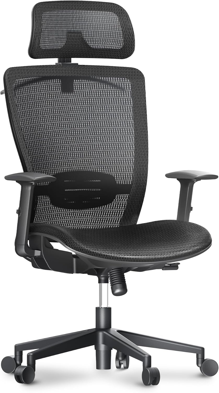 FLEXISPOT Ergonomic Mesh Swivel Chair - Lumbar Support & Headrest