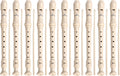 CONJURER Soprano Recorder 10Pc Set - German Fingering for Kids