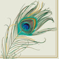 Ideal Home Range Peacock Feather Cocktail Napkins - 3-Ply Paper, 20-Count