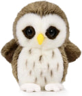 Adorable 6 Owl Plush: Ice King Bear Wildlife Collection