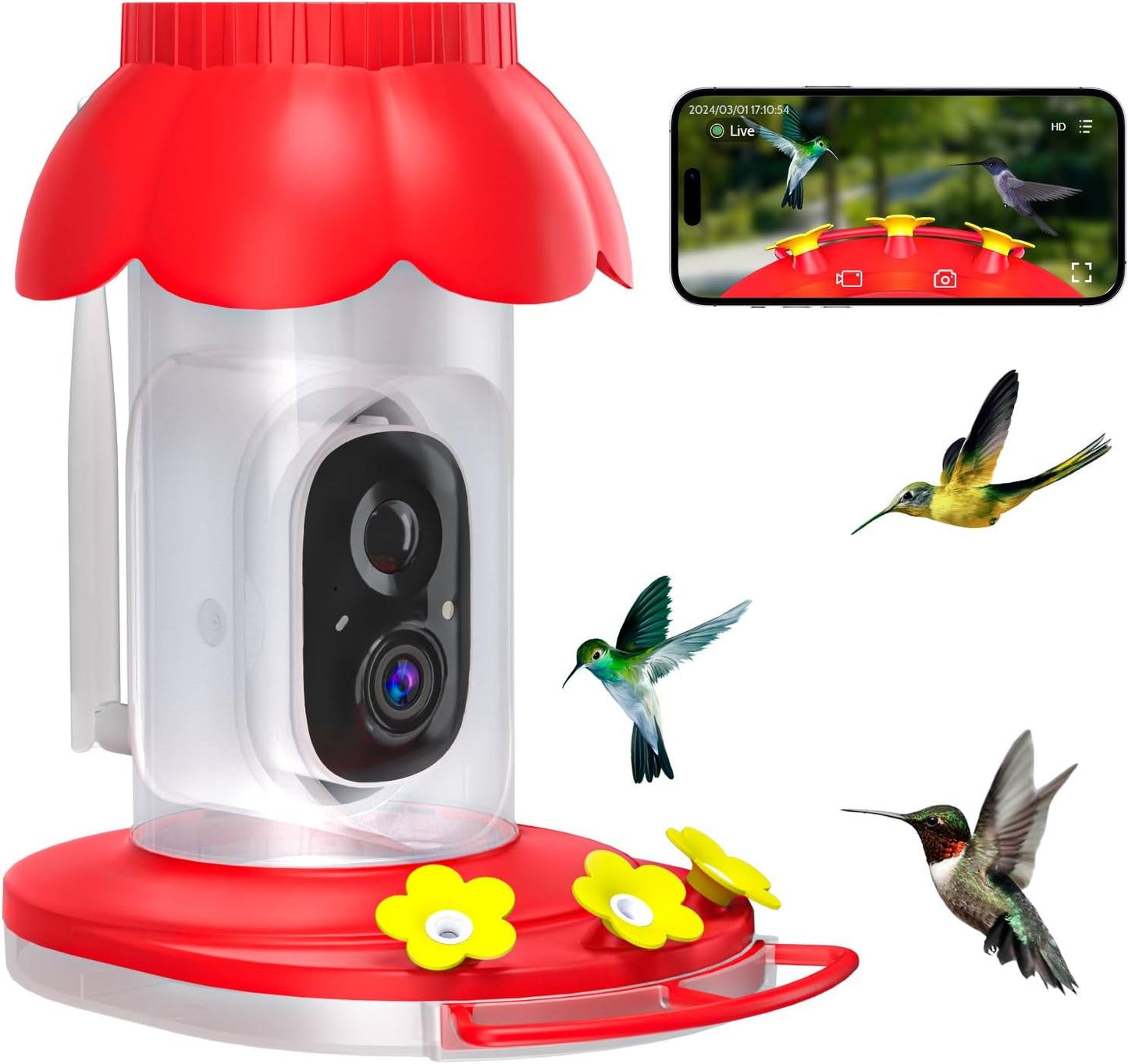 AI Hummingbird Feeder with Live Cam
