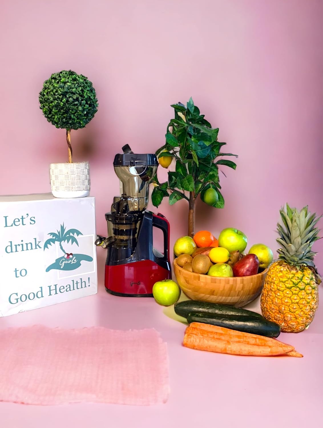 GUIRLA Premier Cold Press Juicer - Red Wine Power