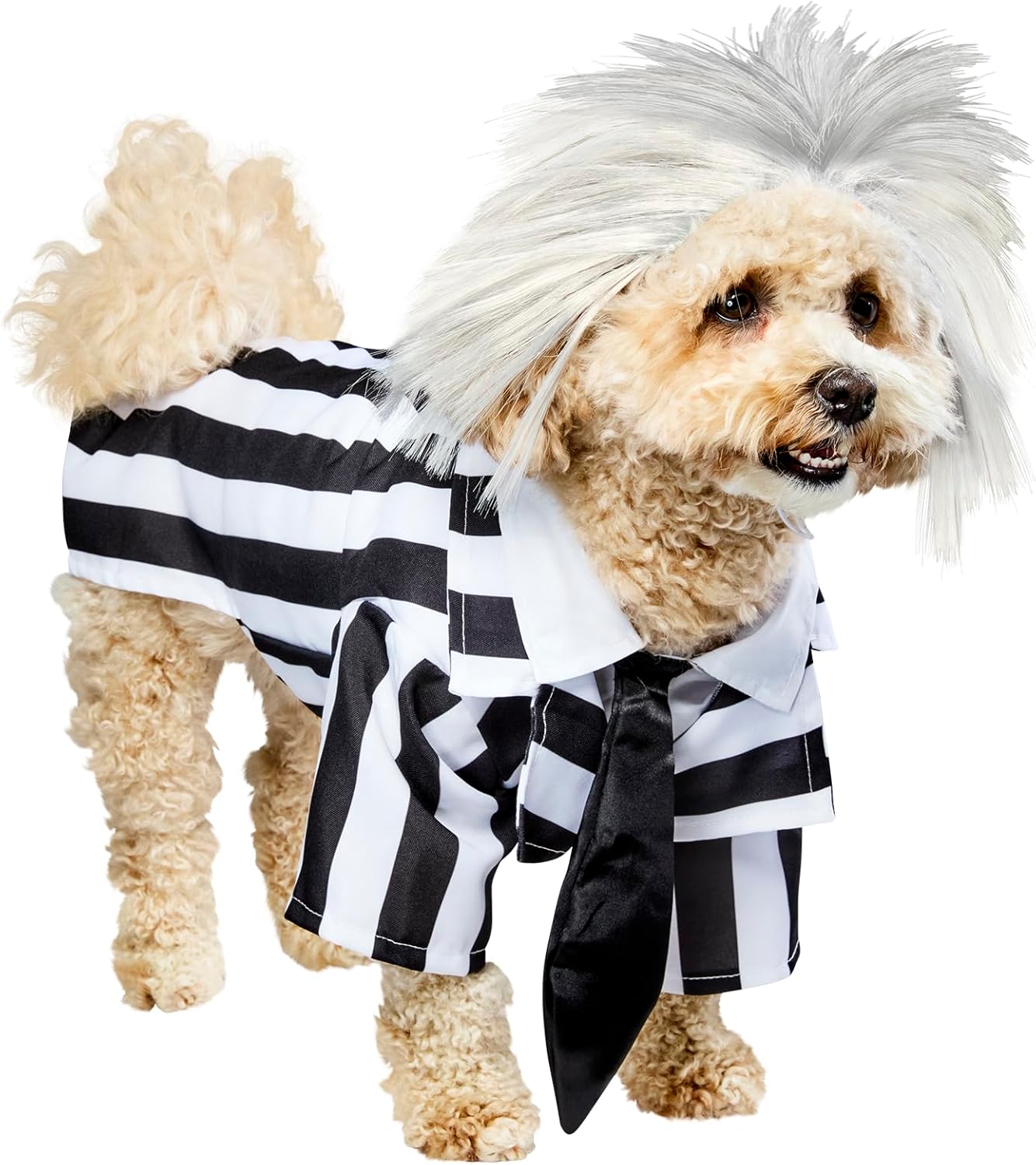 Beetlejuice Pet Costume for Dogs or Cats - Medium Size Fun
