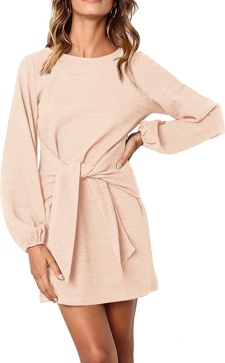 Elegant Long Lantern Sleeve Short Dress for Fall Weddings
