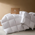 Pacific Coast Goose Feather Down Comforter Queen - All-Season Luxury