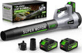 Leaf Blower Cordless 650CFM Brushless Electric Blower - Lightweight