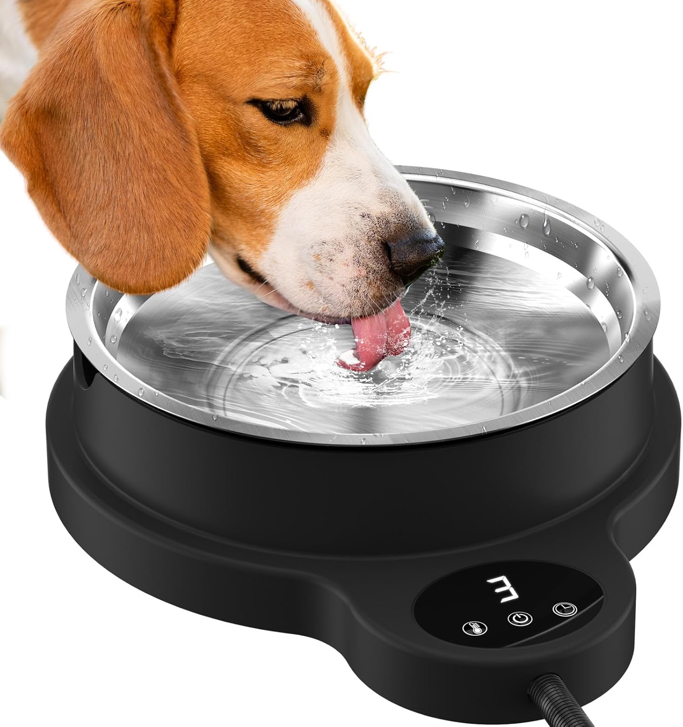 Adjustable Heated Water Bowl for Pets, 100W - Winter Ready