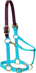 Breakaway Horse Halter with Supple Burgundy Latigo Crown - Durable Fit