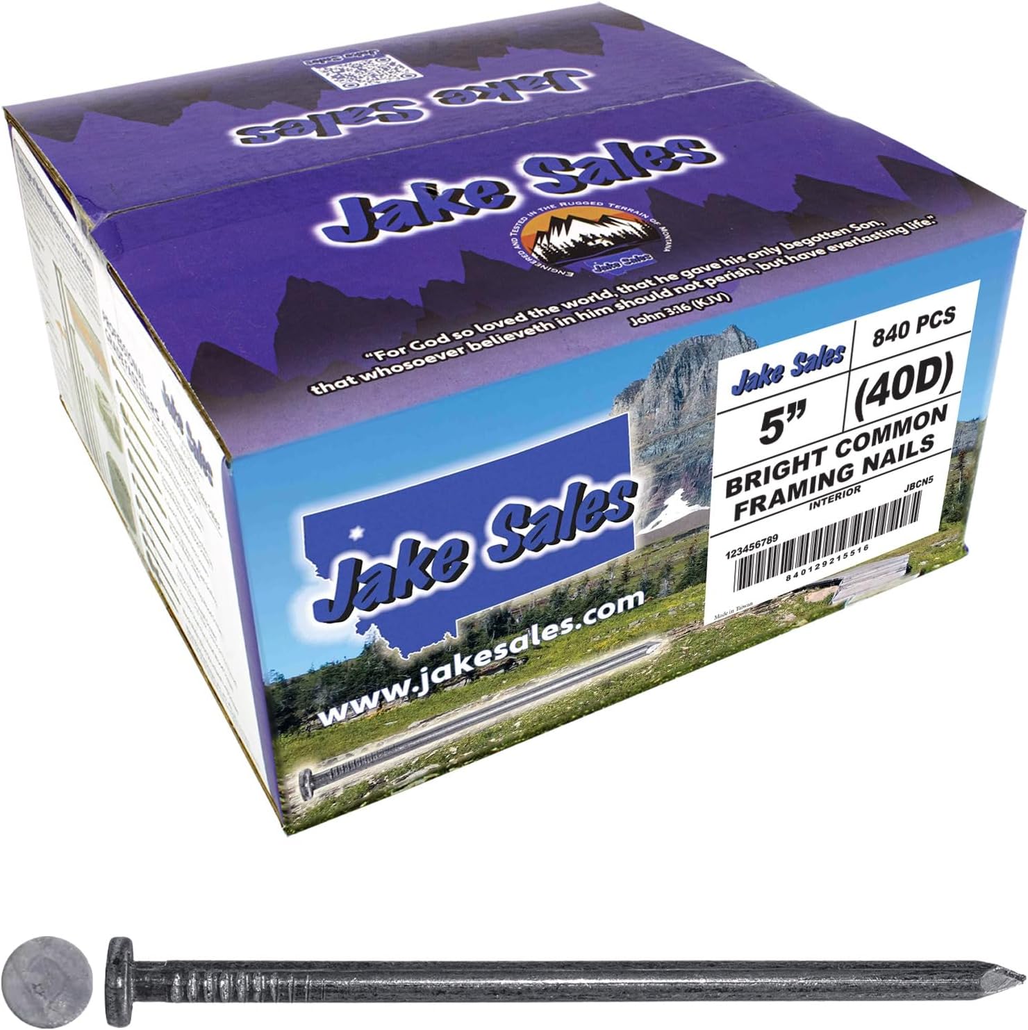 5 Inch Bright Common Nail (40D) for Strong Construction Projects