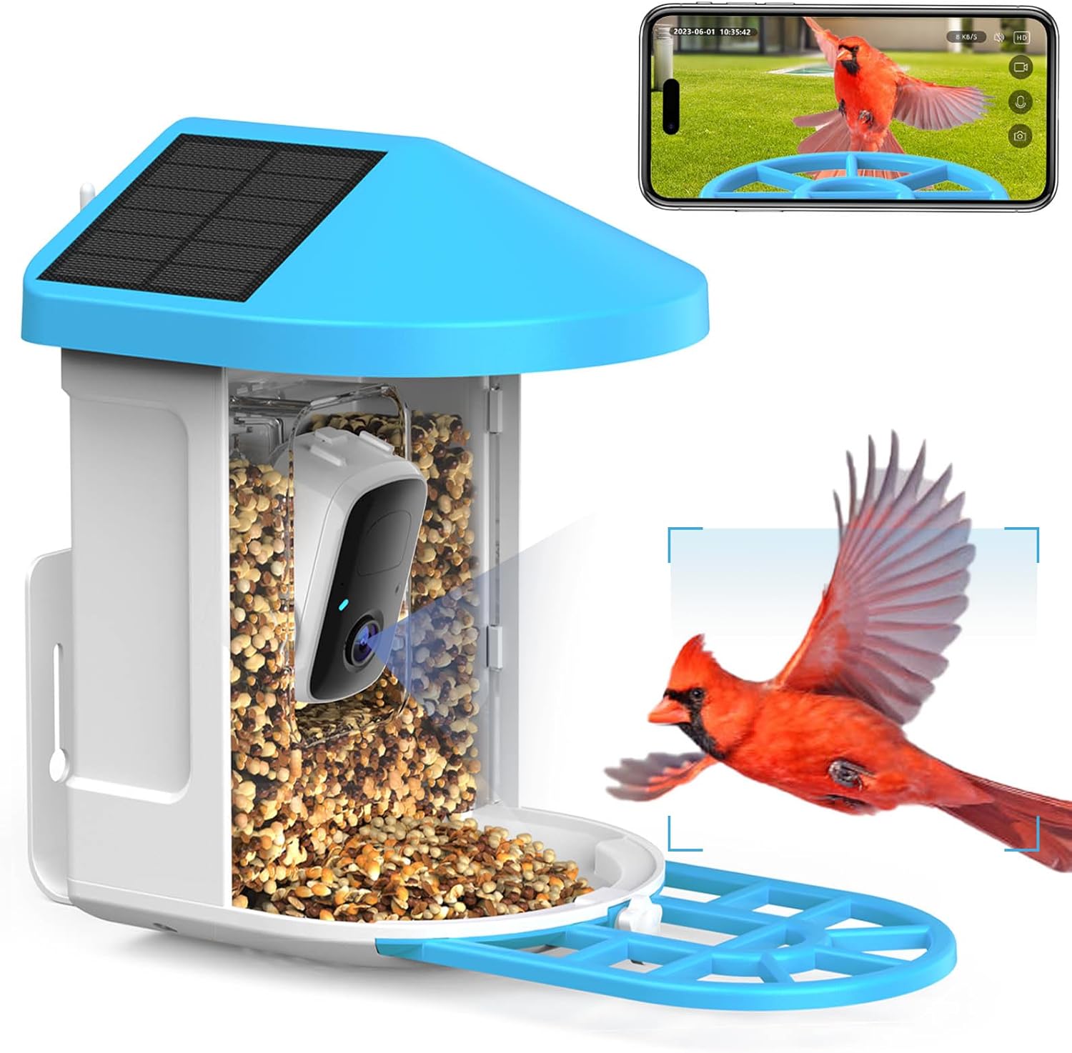 1080P HD Solar Bird Feeder Camera - AI Bird ID, Night Vision