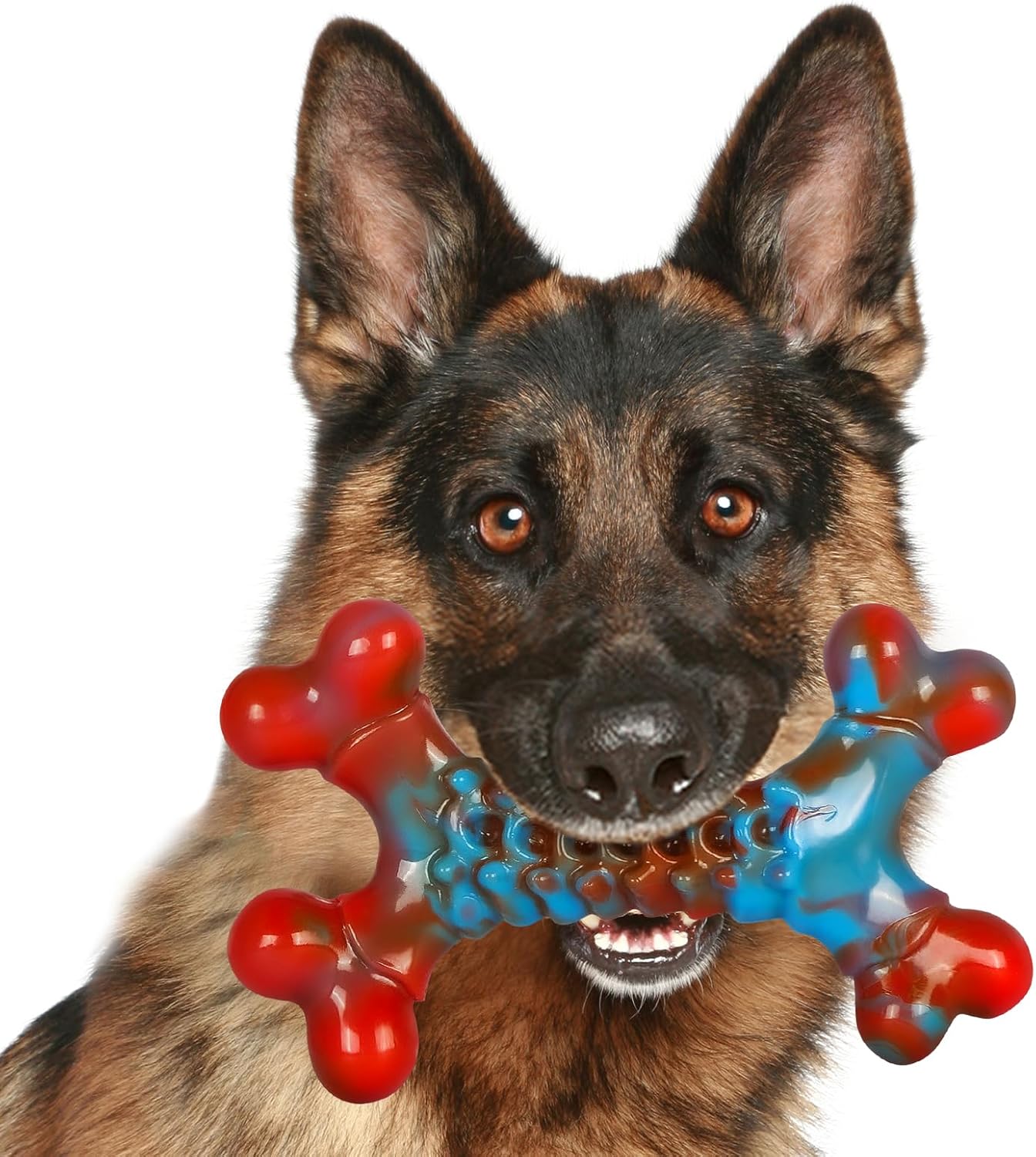 Indestructible Tough Dog Chew Toy - CattySafe