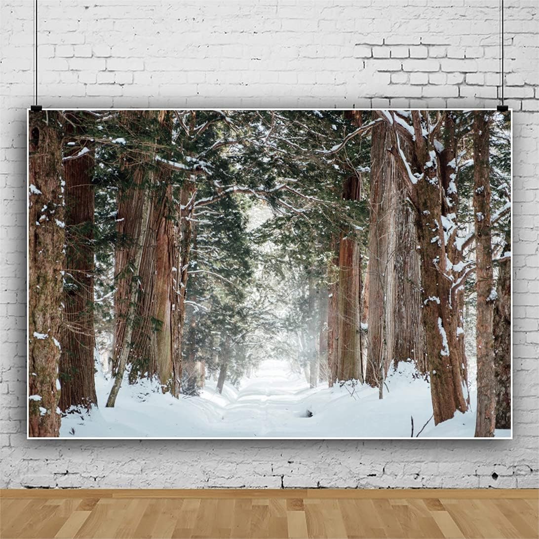 Yeele 10x6.5ft Forest Backdrop for Stunning Winter Photos