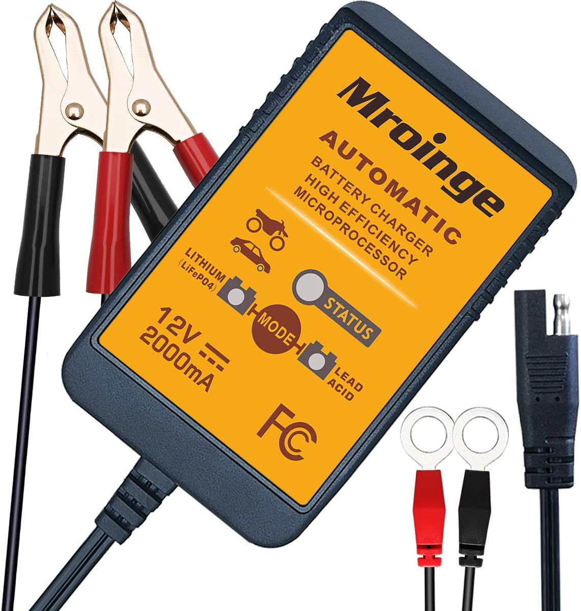 Smart Battery Maintainer for Various Batteries by Mroinge