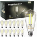 TJOY Vintage Edison LED Bulbs 12 Pack - Dimmable 60W Equivalent 5000K