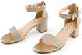 Women's Chunky Low Heels Ankle Strap Open Toe Sandals - Comfortable