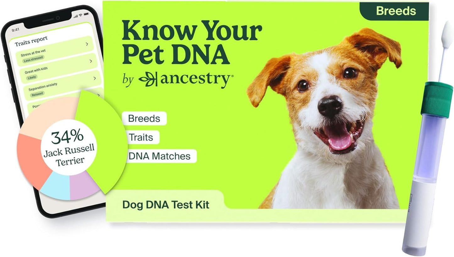 Ancestry Dog DNA Test for Breed Identification and Insights