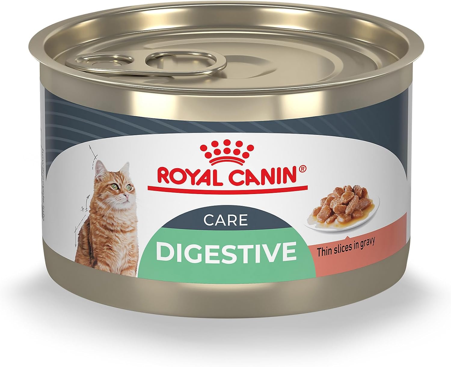 Royal Canin Feline Digestive Care Wet Cat Food for Sensitive Stomachs