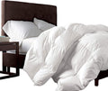 Luxurious Twin/Twin XL Goose Down Fiber Comforter - All-Season Plush