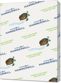 Hammermill Colored Paper 8.5 x 11 Gray Yellow - 20 lb Pastel Pack