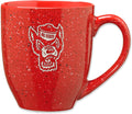 NCAA Team Color Laser Mug by Rico Industries