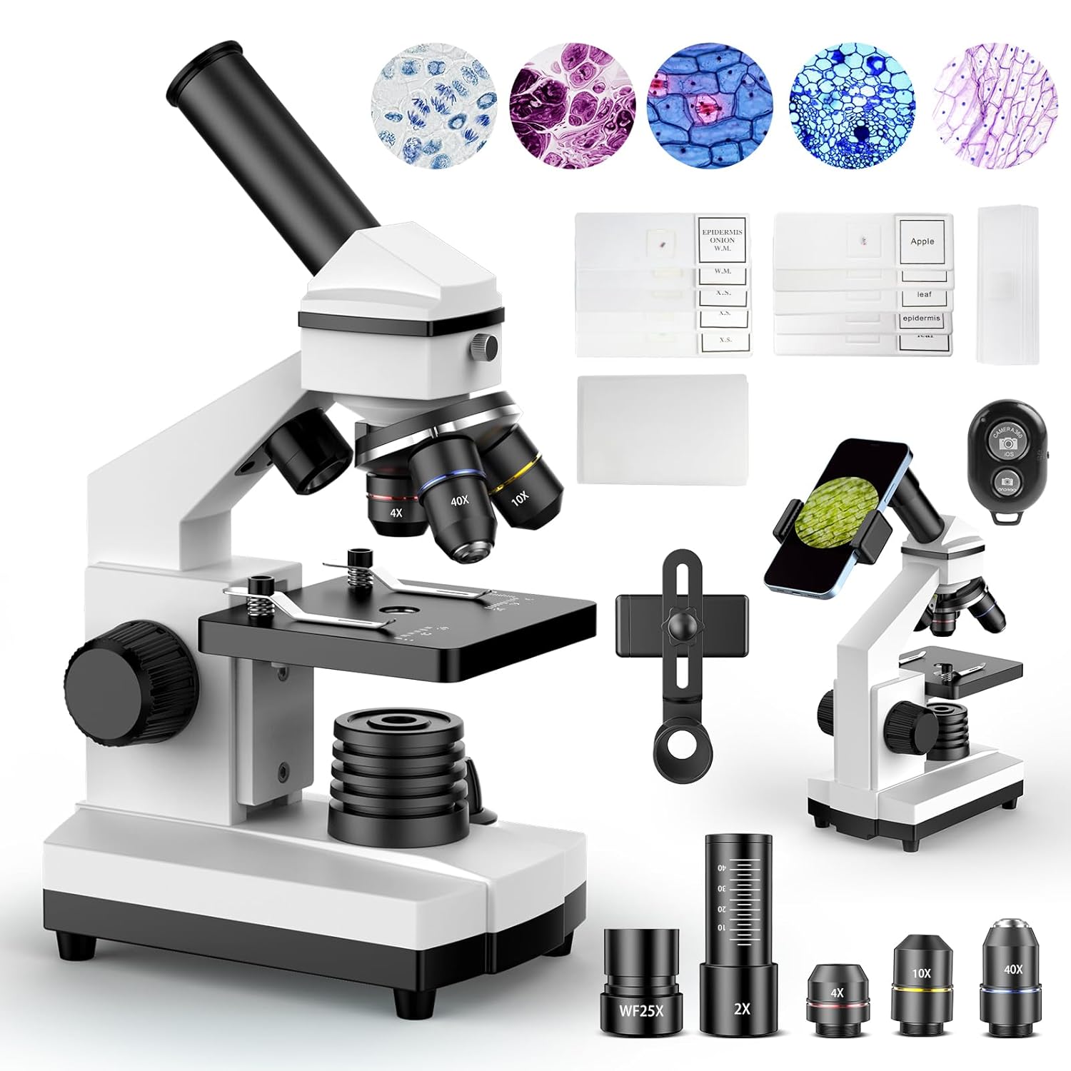 PalliPartners Compound Microscope for Students & Home Education